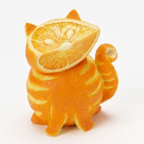 pomarancova-macka-_-orange-cat funny fun 4fun obrázky pictures images